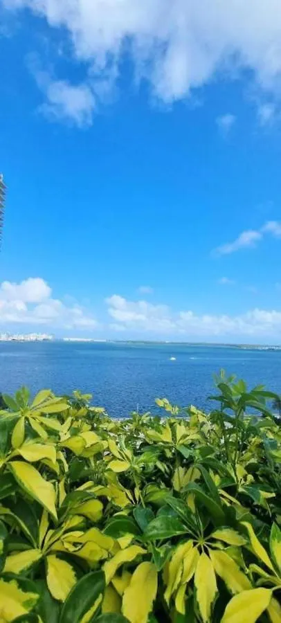 In Brickell The Miami. Free Parking Miami