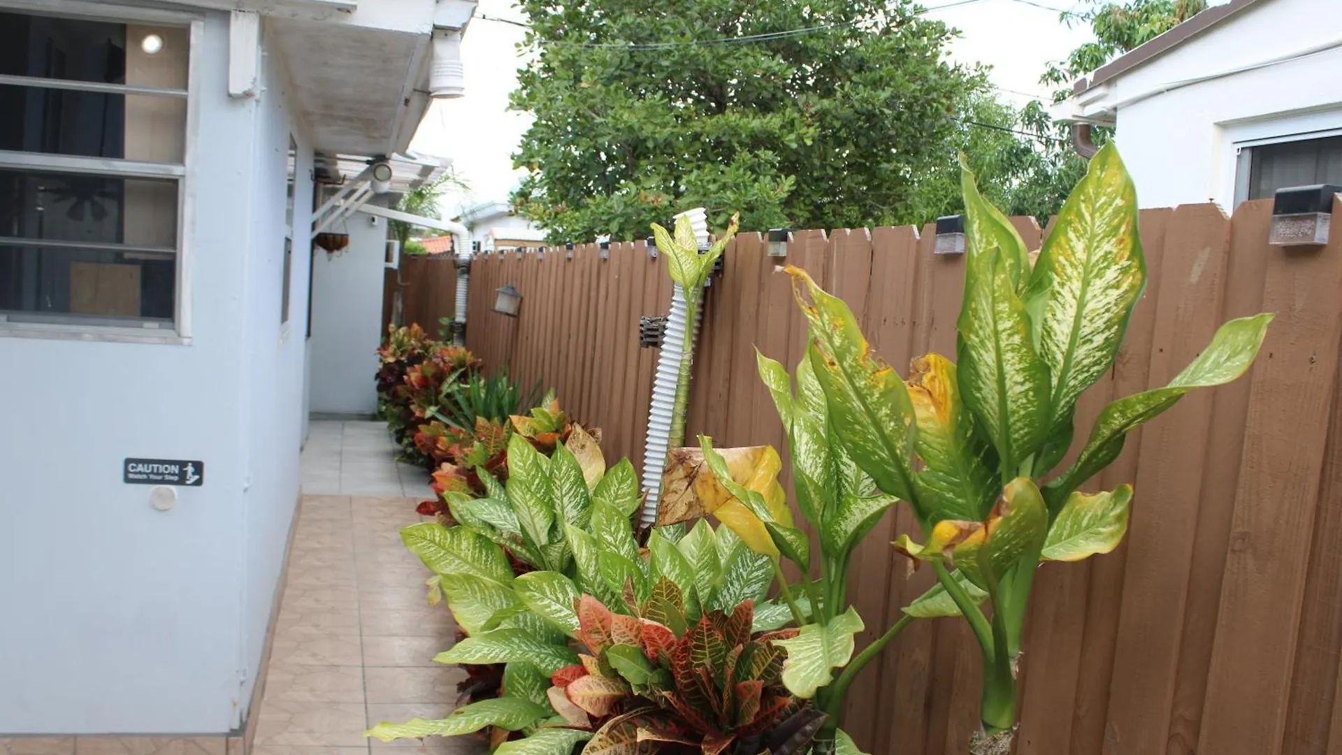 Main House 3 Bed 2 Bath & 1 Bed 1 Bath Miami