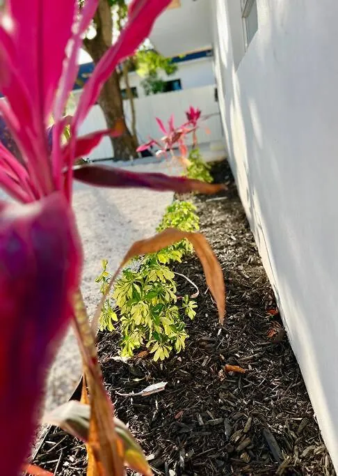 Lush Tropical Big Close To Airport, Calle 8, Coral Gables And Lots Amenities Dom wakacyjny *