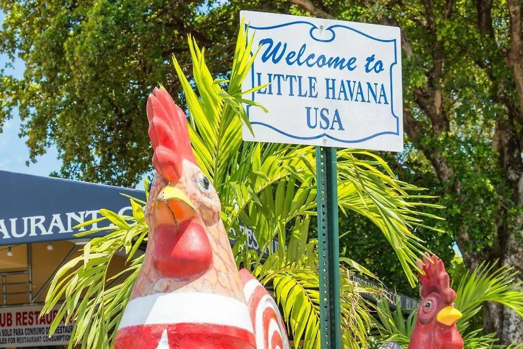 شقة New! Havana Nights ! Walk To Calle Ocho! ميامي