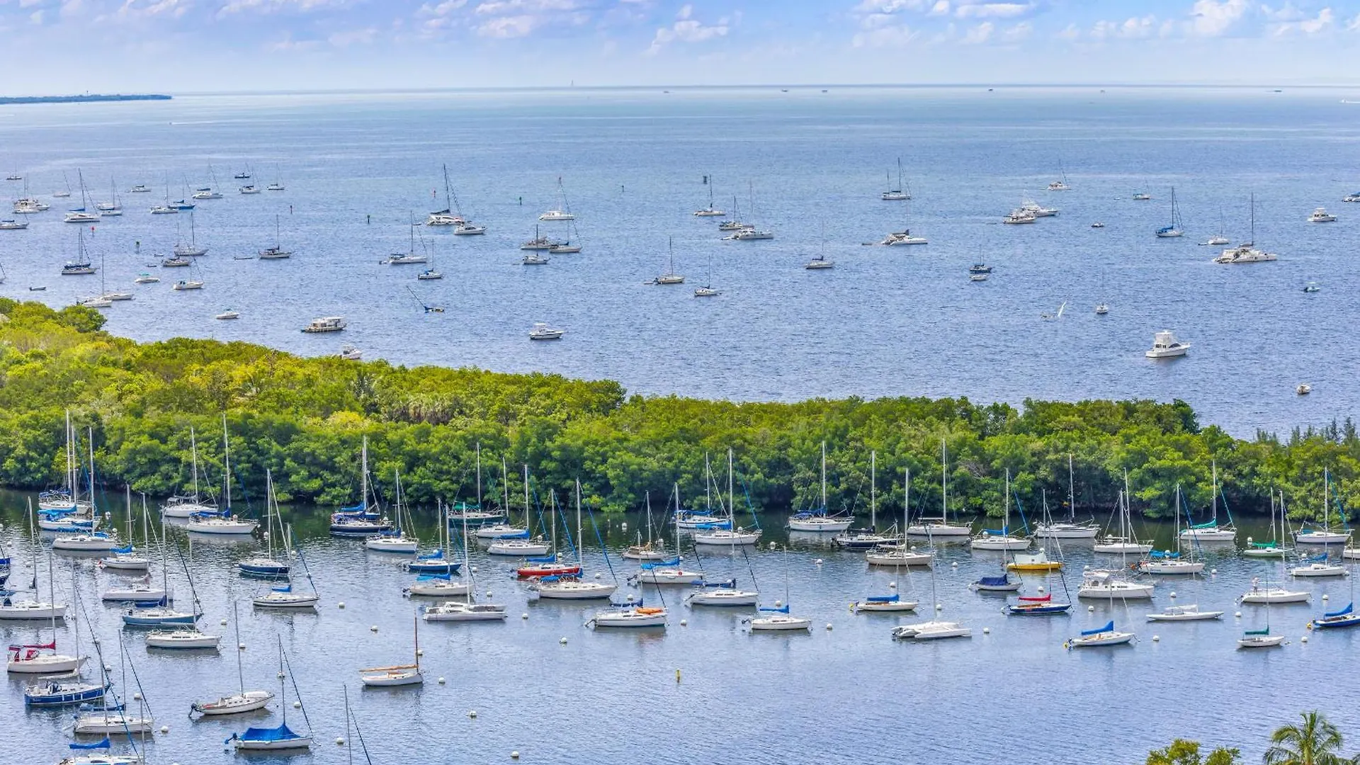 Grove Haven Retreat * Miami