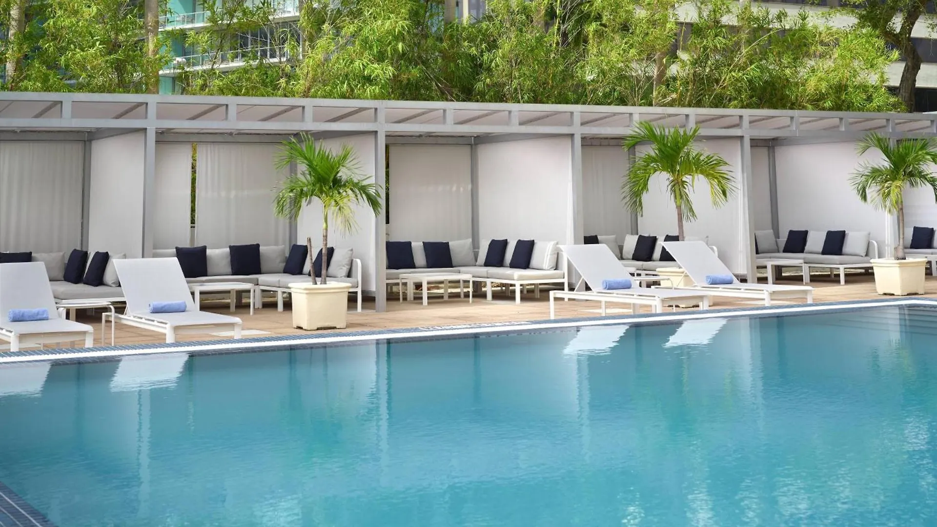 Courtyard Coconut Grove Hotel Miami