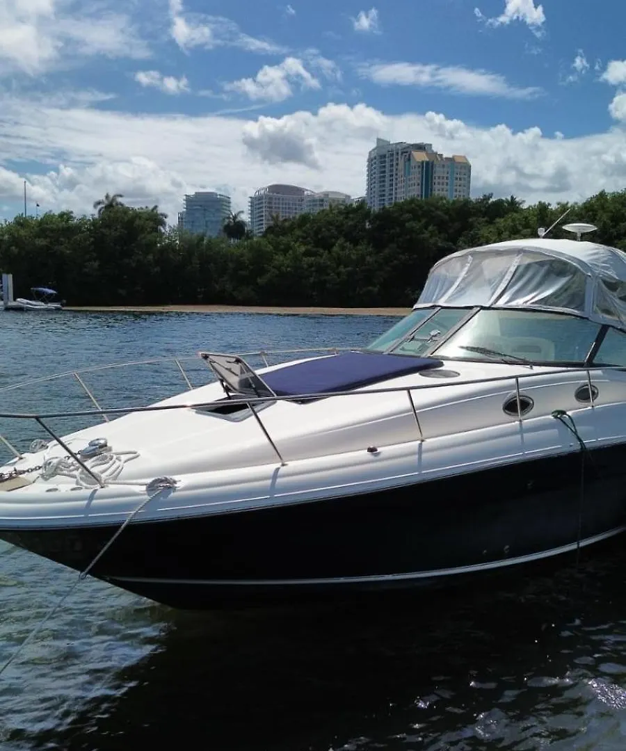 Searay 320 Miami