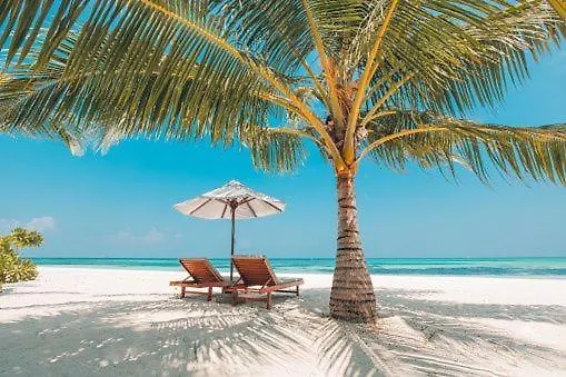 Gorgeous Beachy Chic In Key Biscayne * Miami