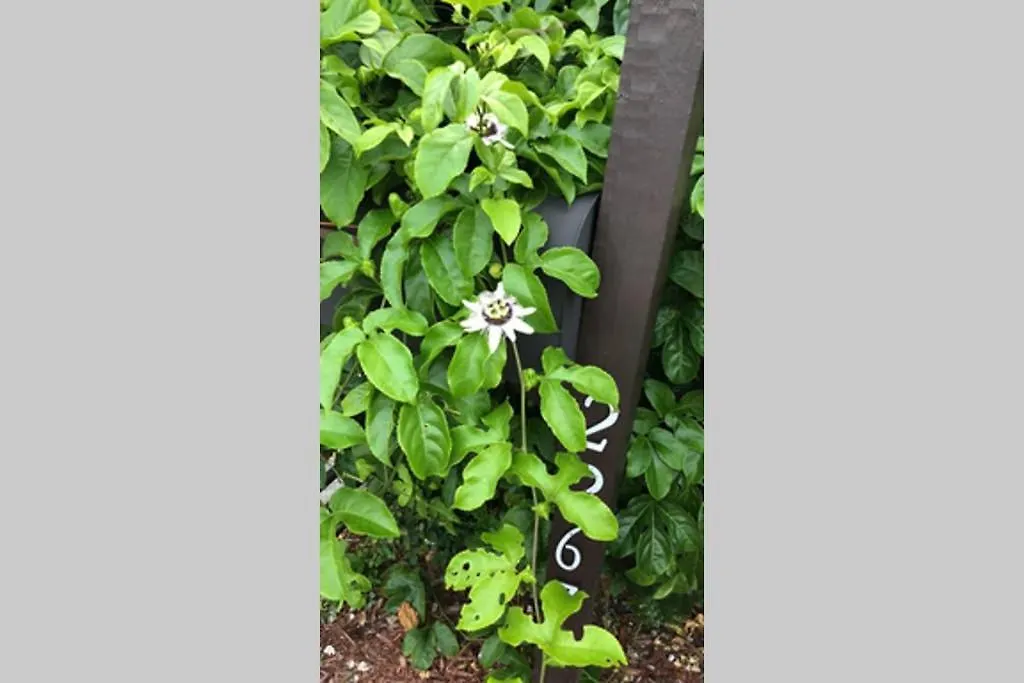 Chic And Comfortable Free Street Parking Apartment Miami
