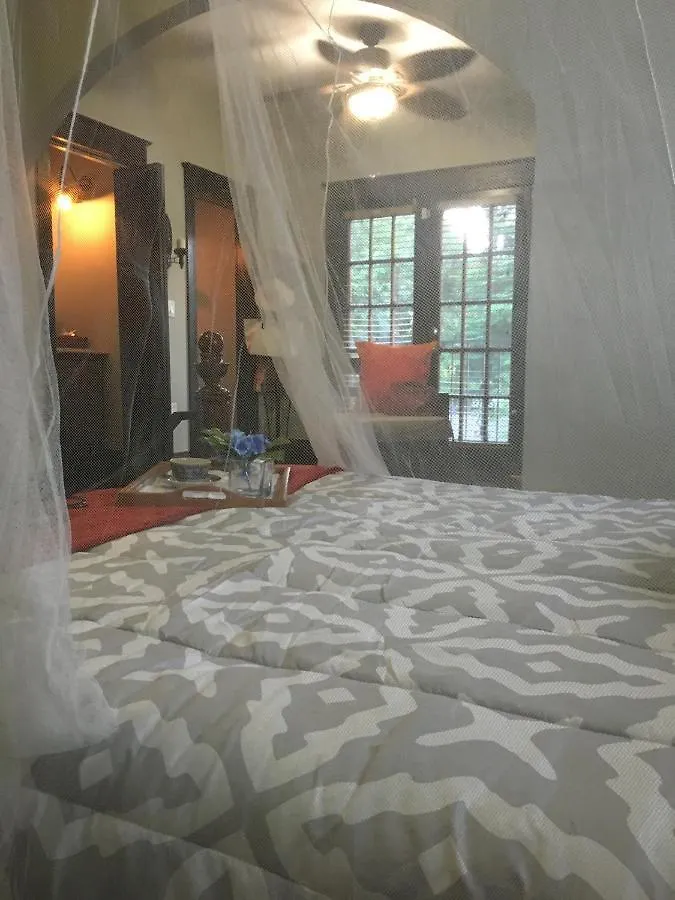 Homestay Heavenly In Little Havana Free Parking Miami