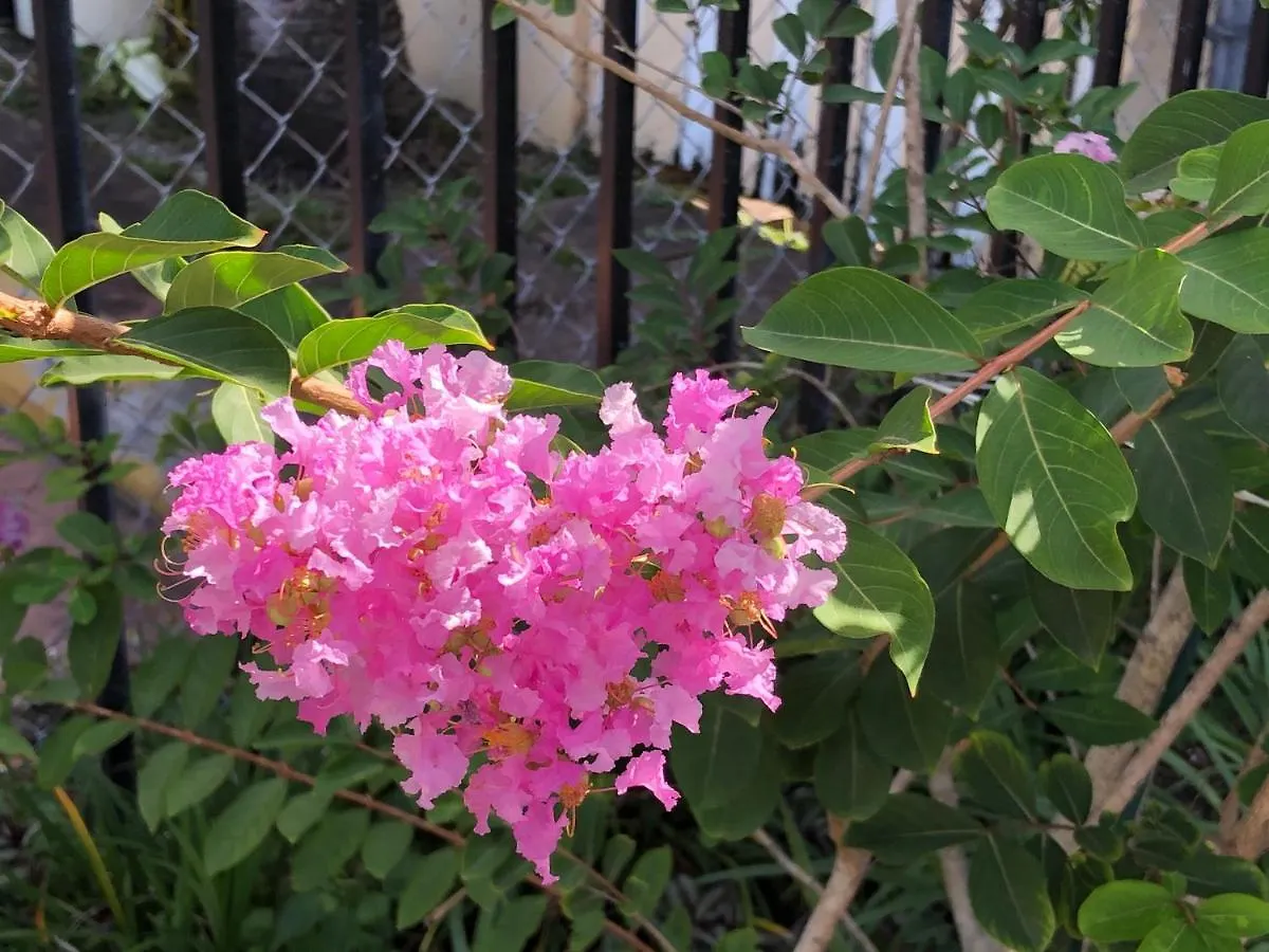 民宿 Private Next To Calle Ocho *