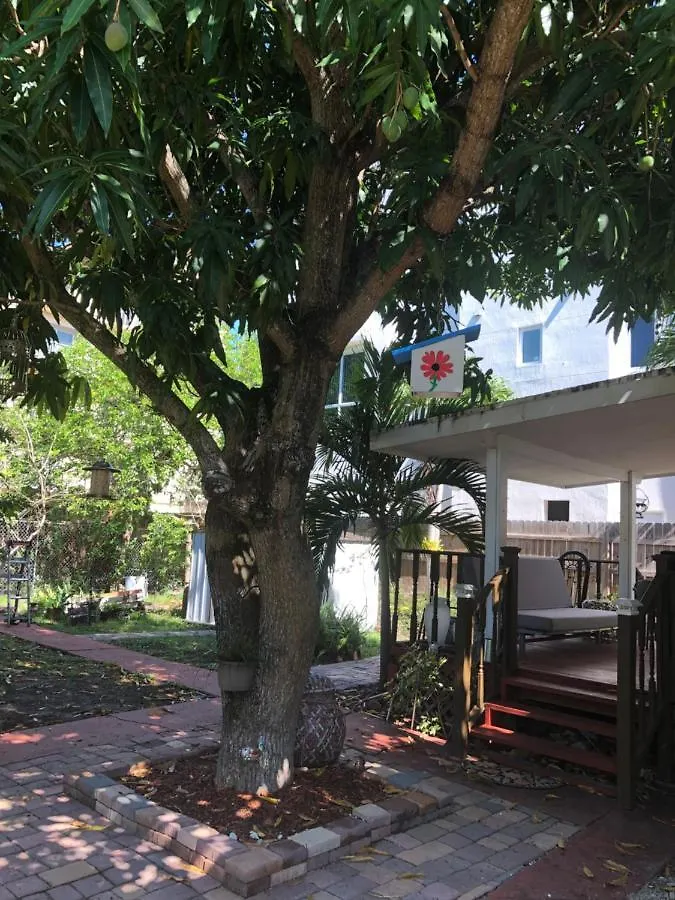 Private Next To Calle Ocho * 迈阿密