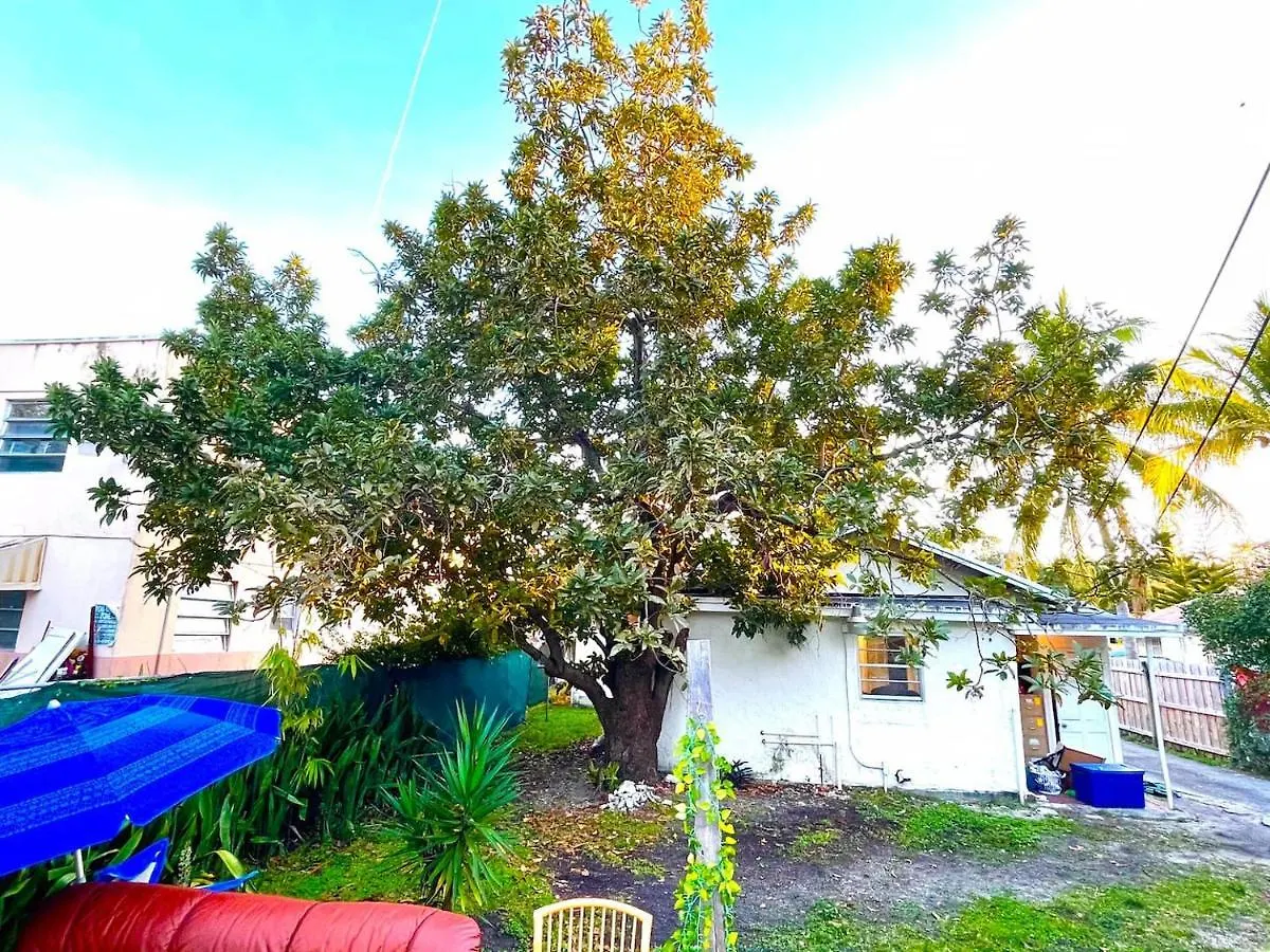 Deons Airbnb