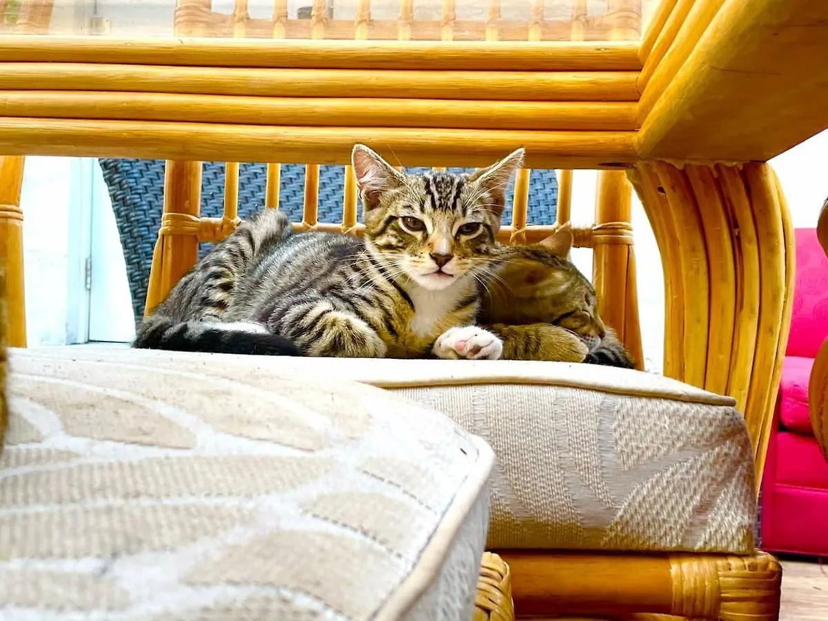 Deons Airbnb