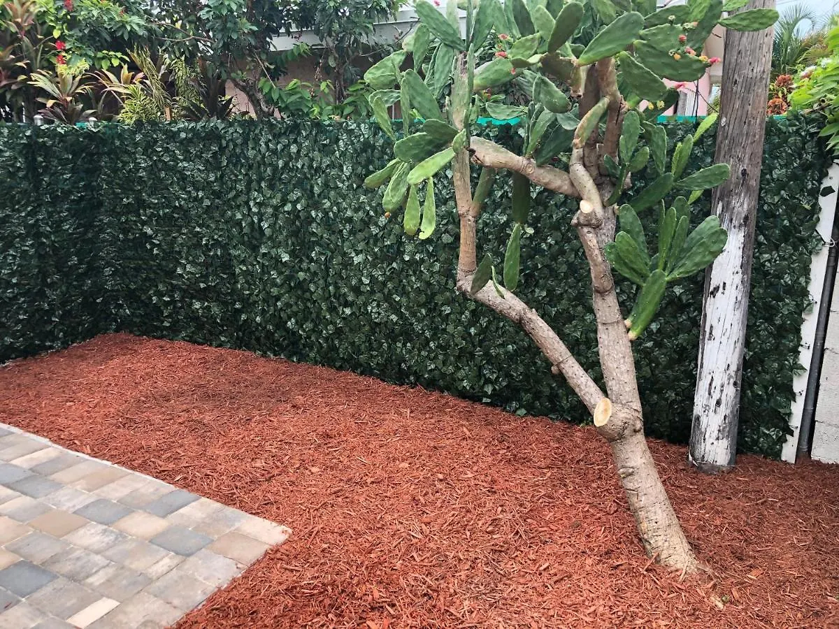 Miami-airport Oasis Vip House Vakantiehuis
