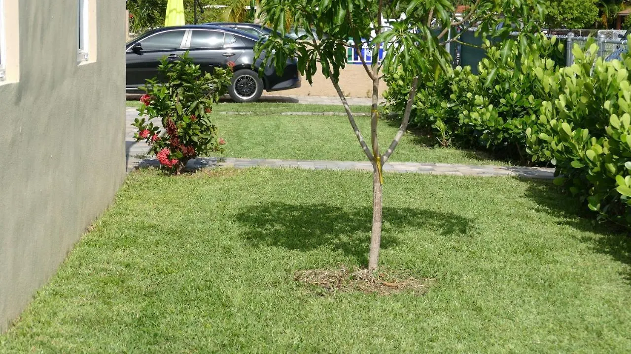 Miami-airport Oasis Vip House Vakantiehuis Miami