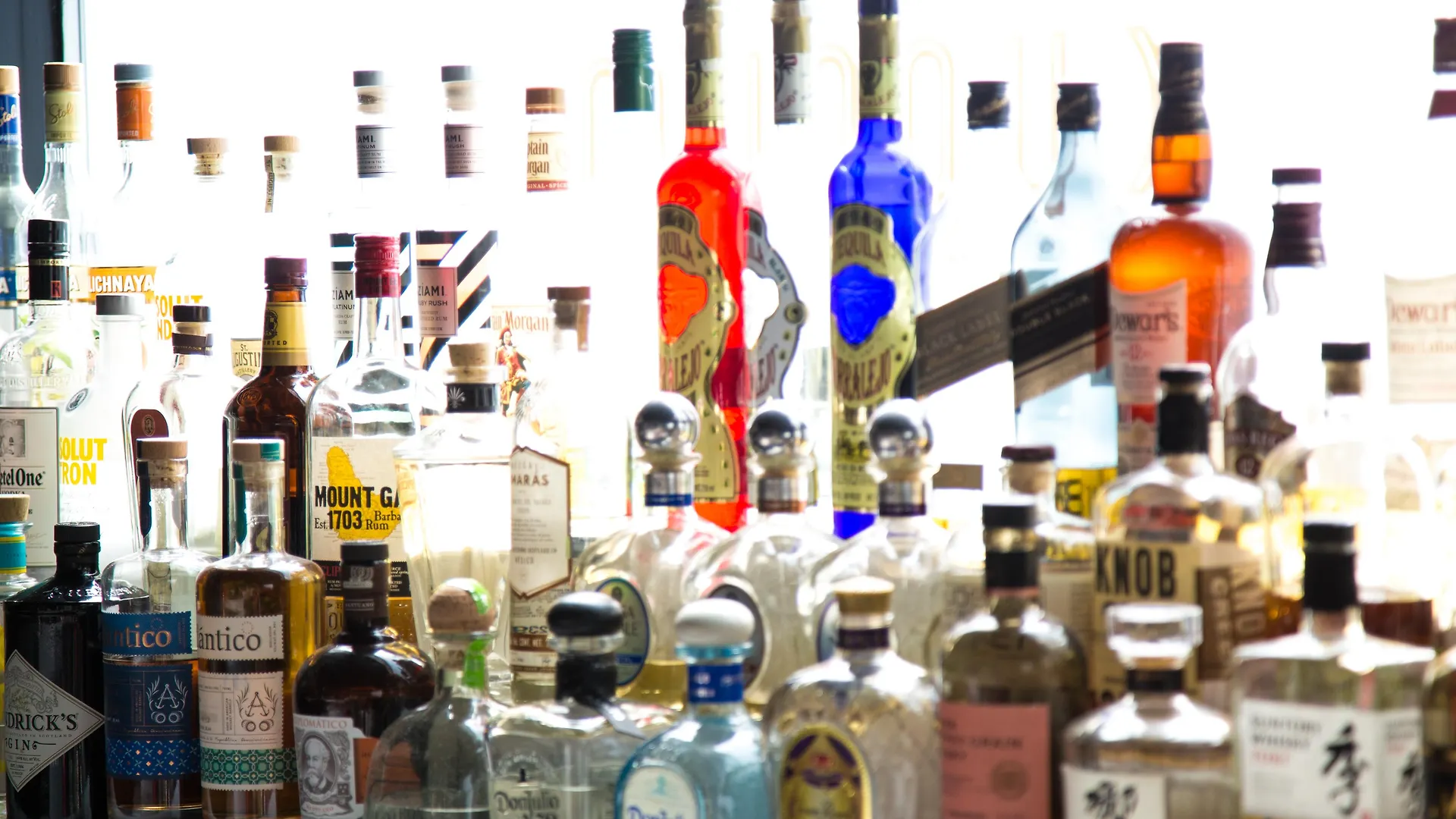 南海滩广场酒店 酒店 迈阿密海滩
