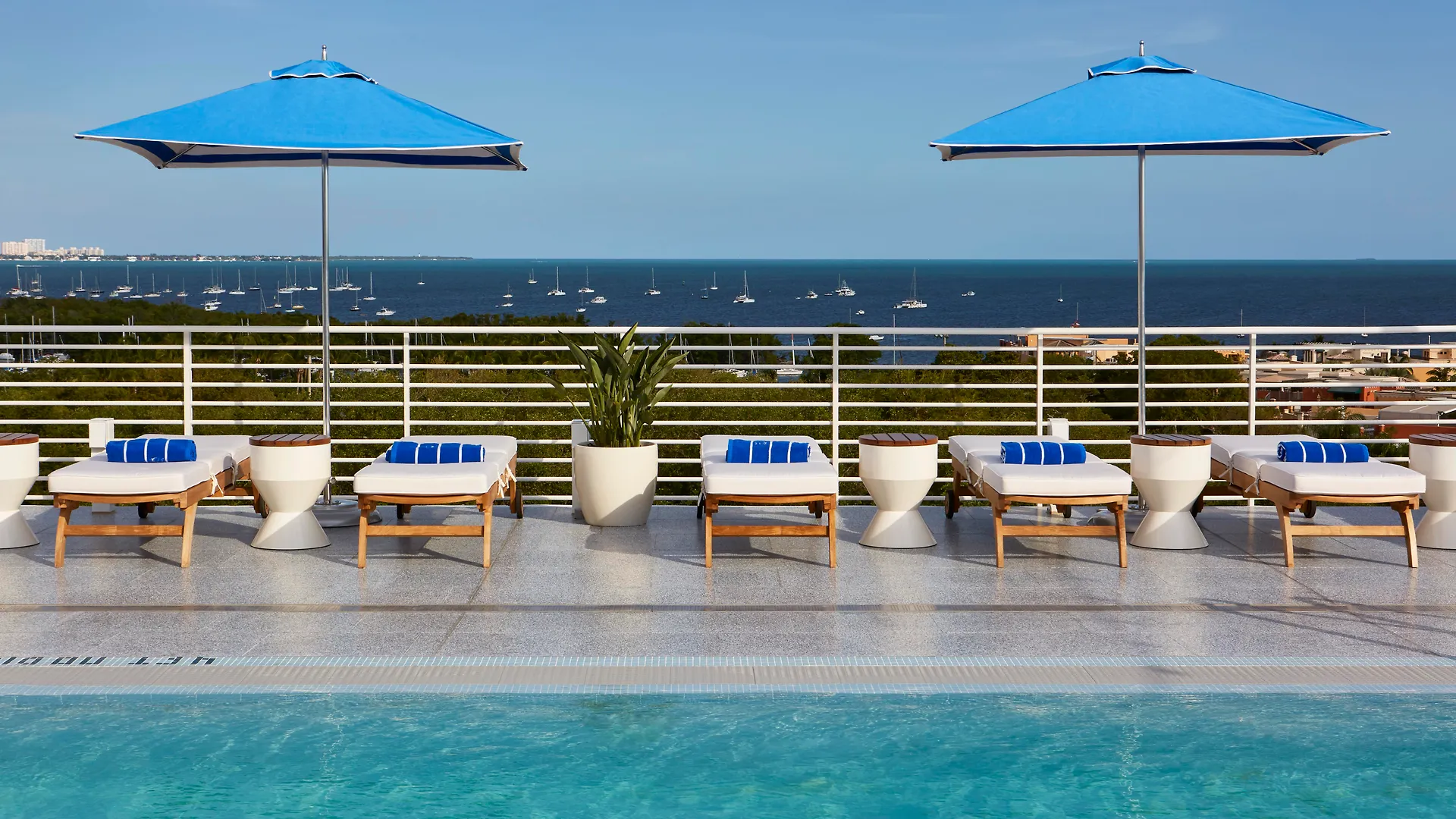 Mr. C - Coconut Grove Hotel
