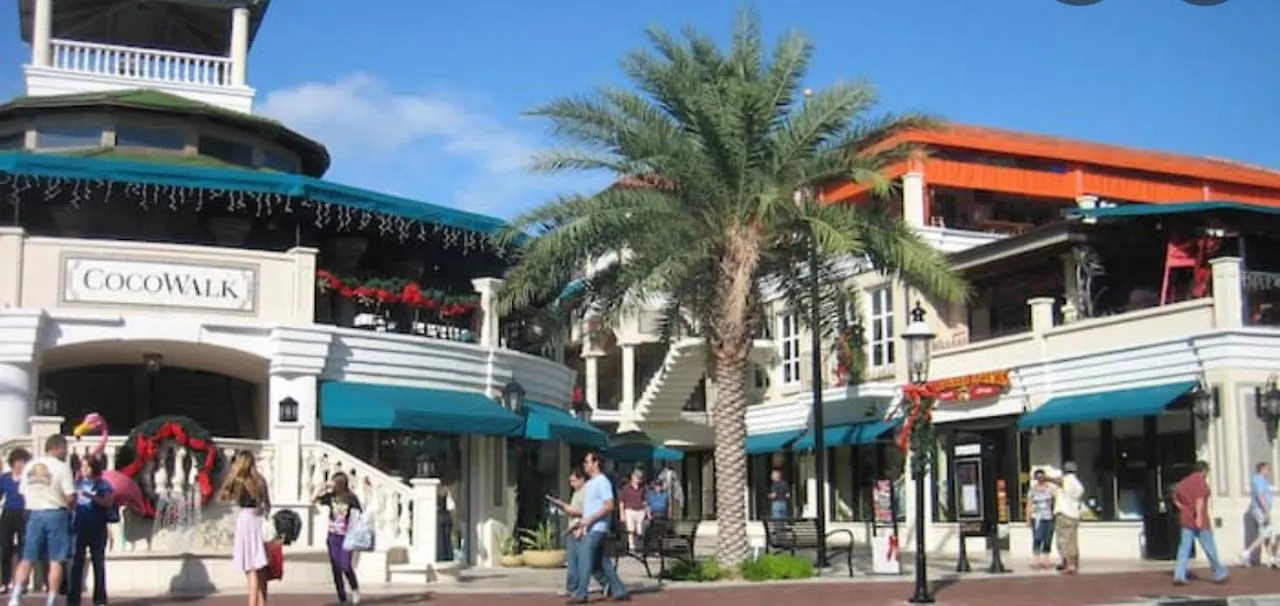 Coconut Grove Green Day's * Miami