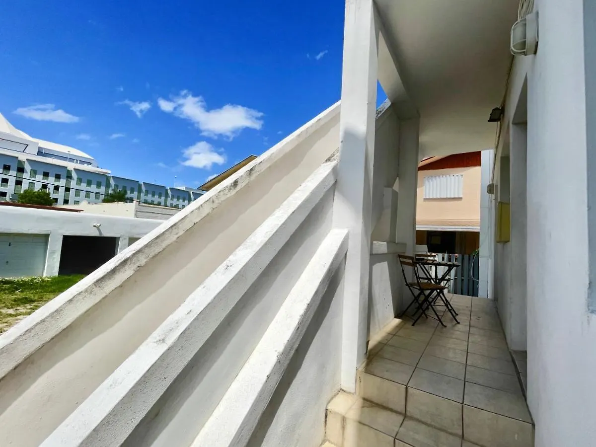 Marlins Park - 1 - Calle Ocho Miami
