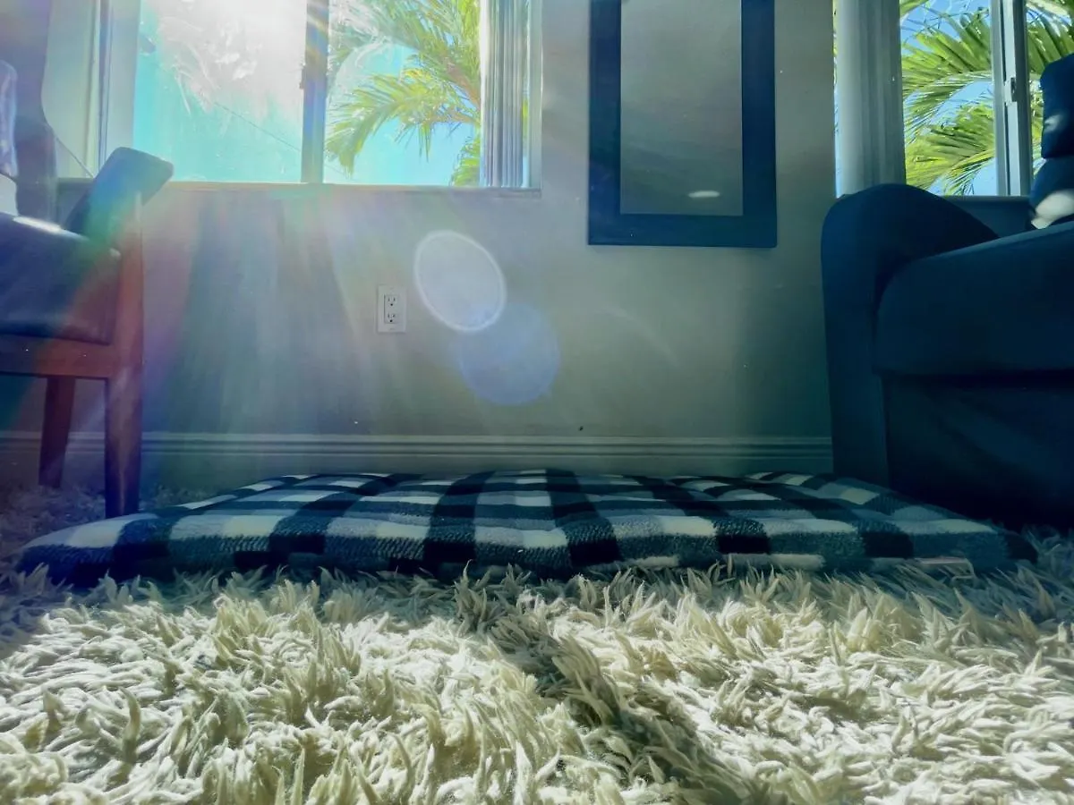Apartmán Marlins Park - 1 - Calle Ocho *
