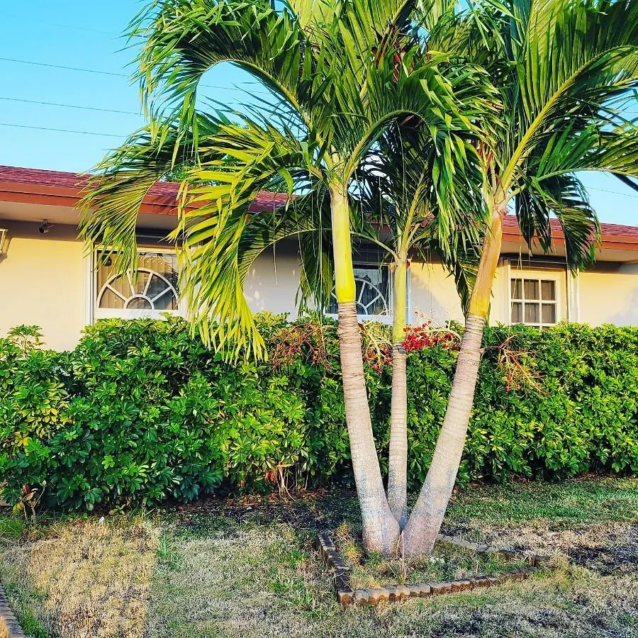 Holiday home Las Palmeras Miami