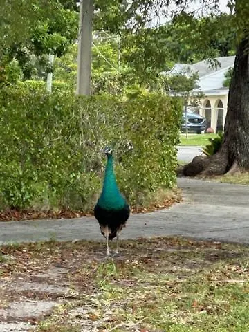 Дом отдыха Unique Coral Gables