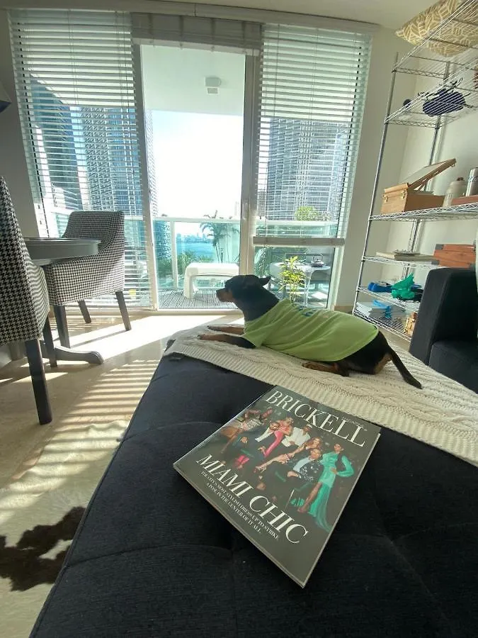 Comfortable In The Brickell Center Area Homestay Miami