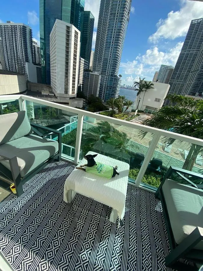 Comfortable In The Brickell Center Area Homestay *