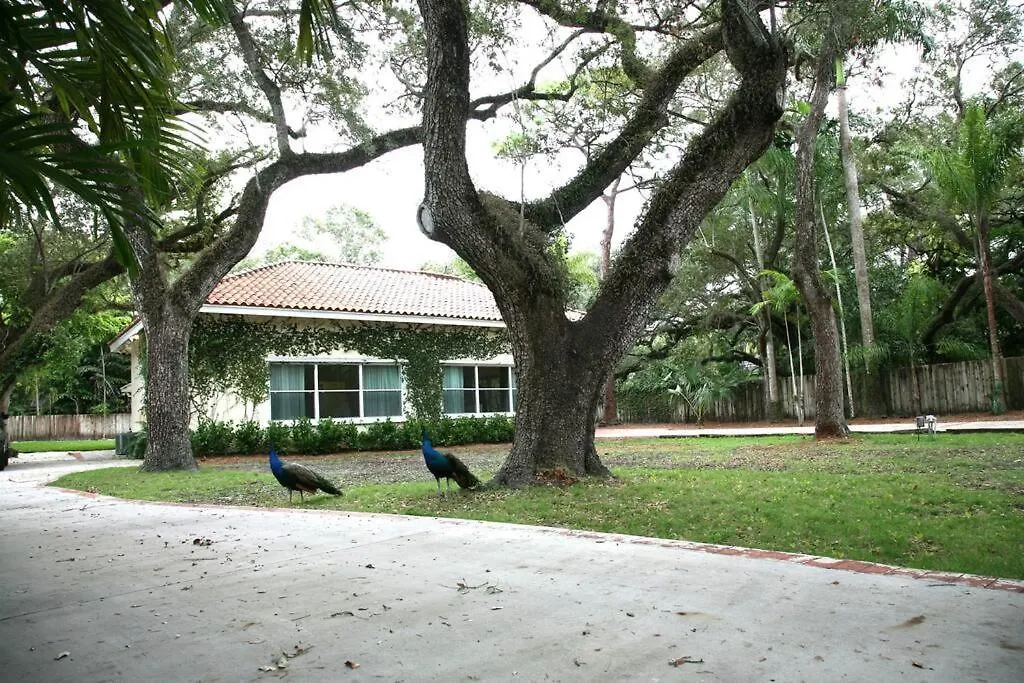 Spacious Tropical Oasis - 1/2 Acre In Heart Of Mia