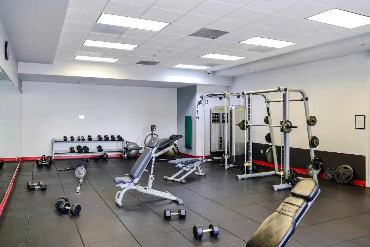 We Host Wonderful 3 Bedroom At Brickell W Gym Apartment