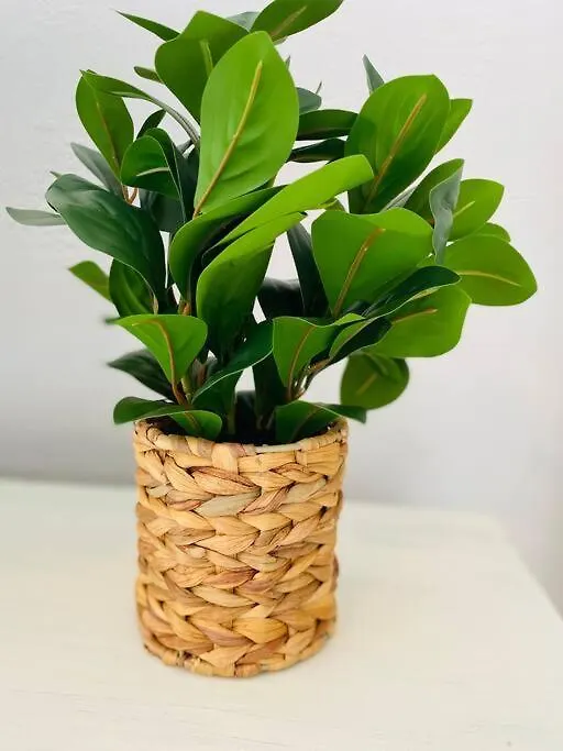 Coral Gables / Coconut Grove Area Free Parking Apartmán