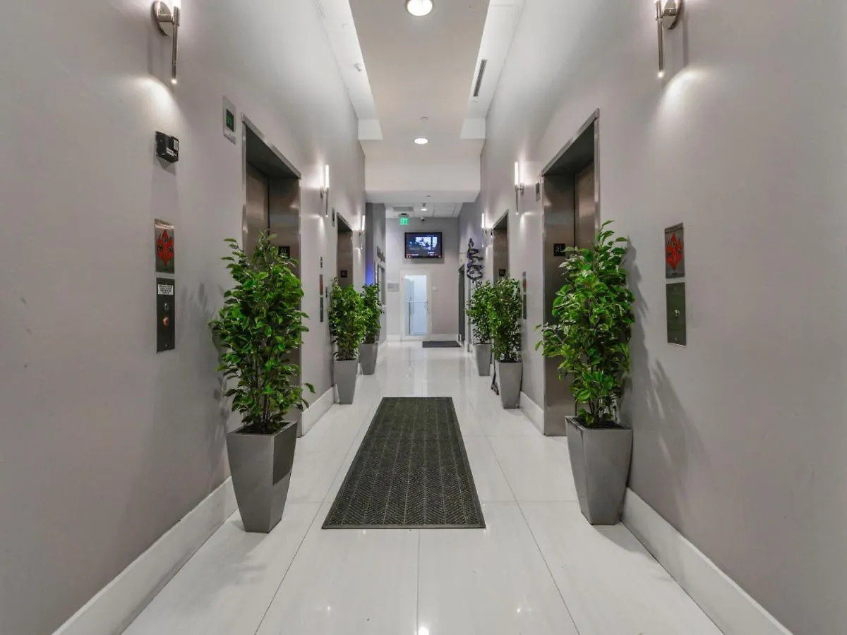 Cozy And Bohemian In Brickell Miami