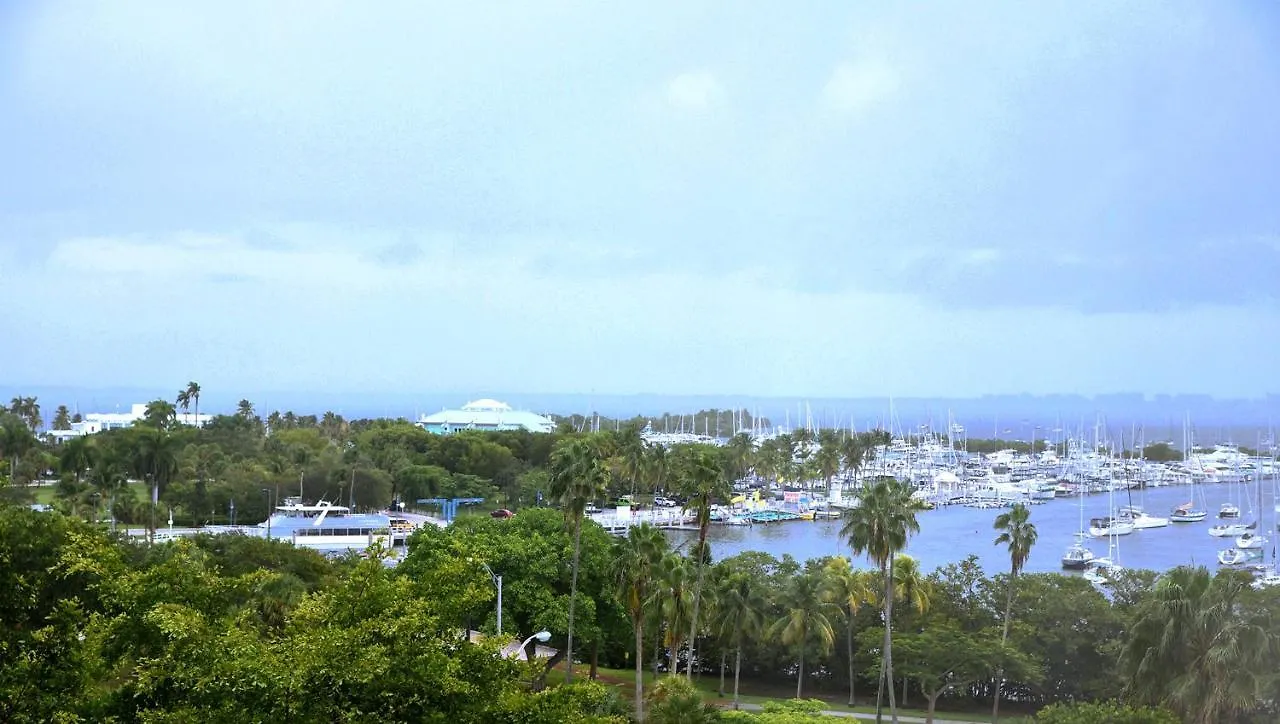 Relaxing In The Grove, Free Parking Apartment Miami
