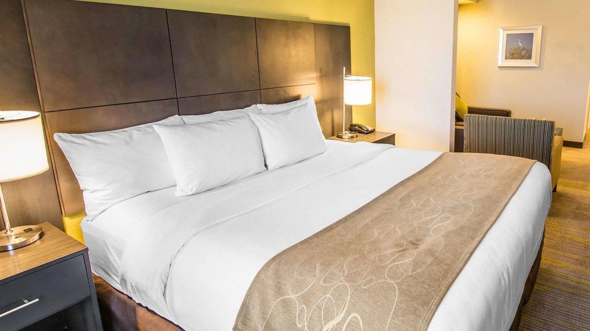 Comfort Miami Airport North Hotel Miami Springs