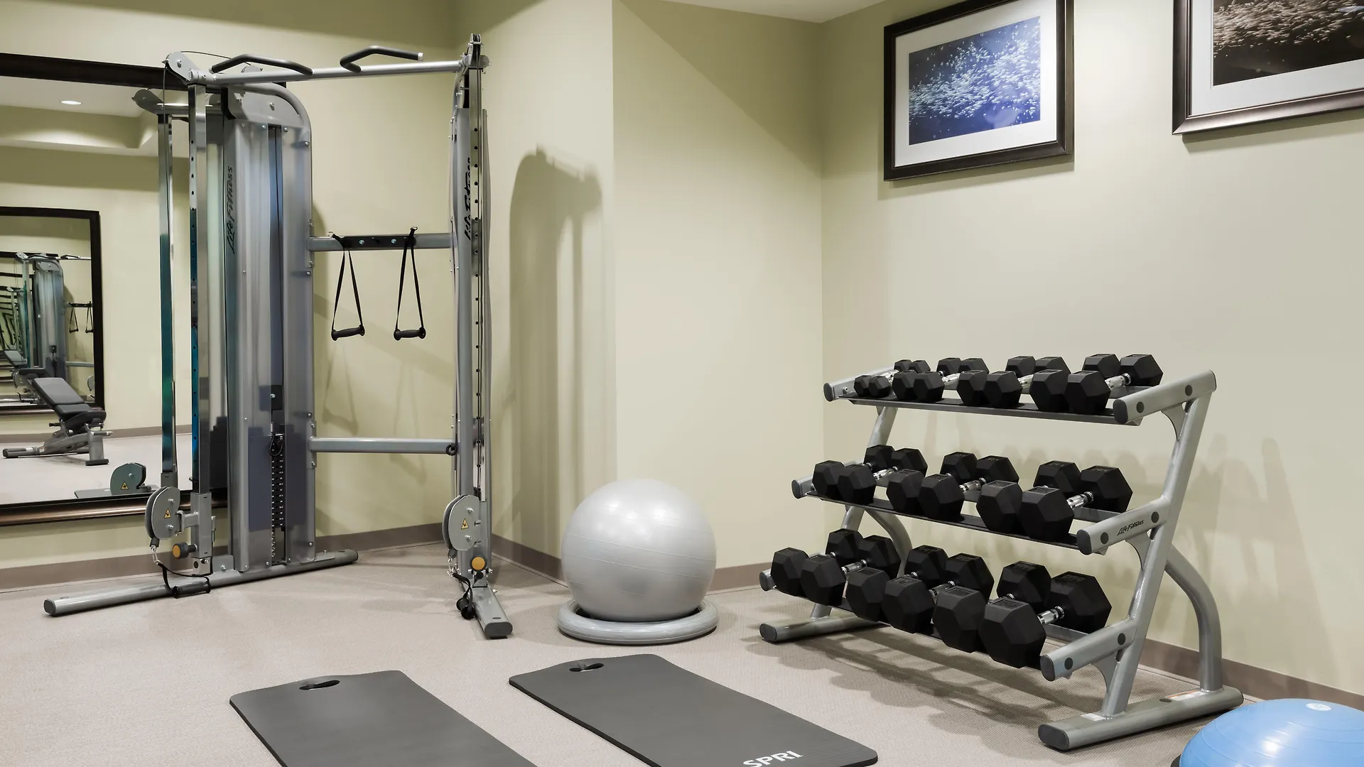 Staybridge - International Airport By Ihg 3* Miami
