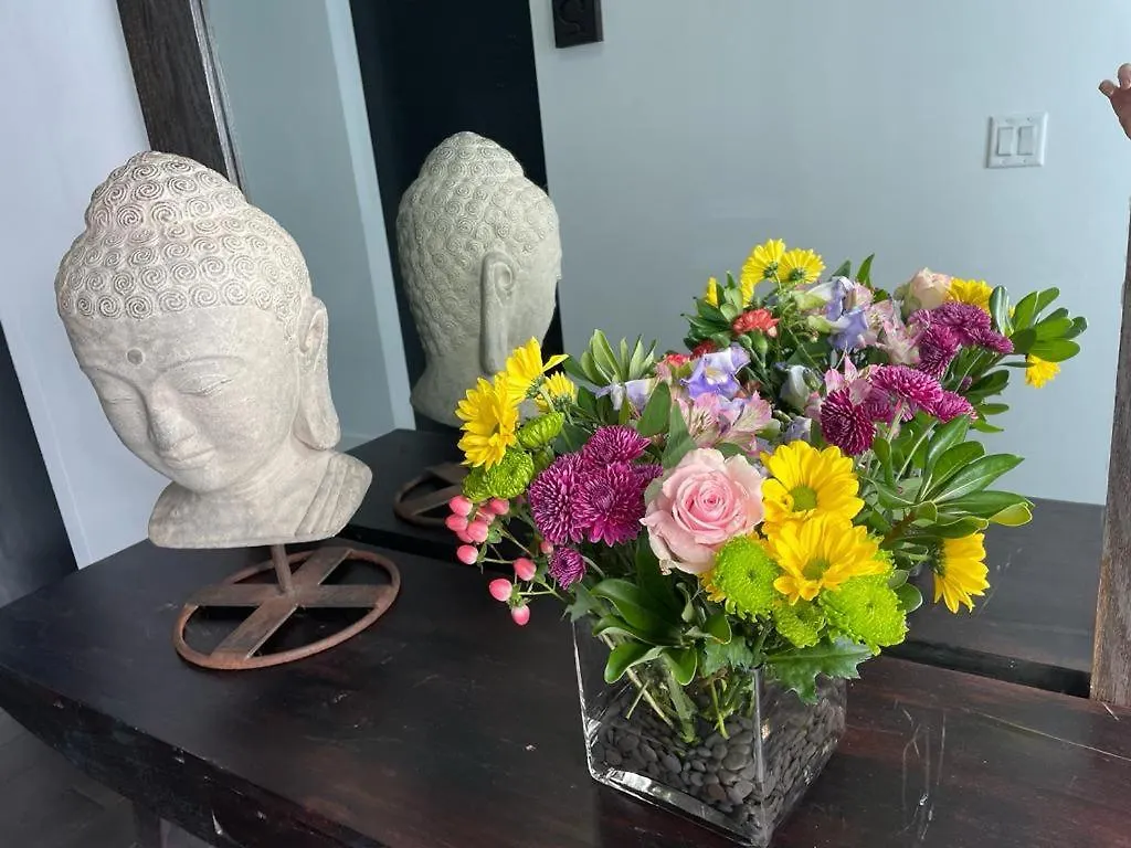 דירה Vive Zen Master For 4 Guests *