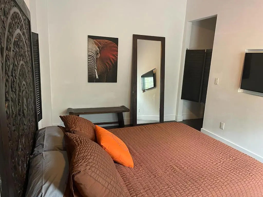Vive Zen Master For 4 Guests *
