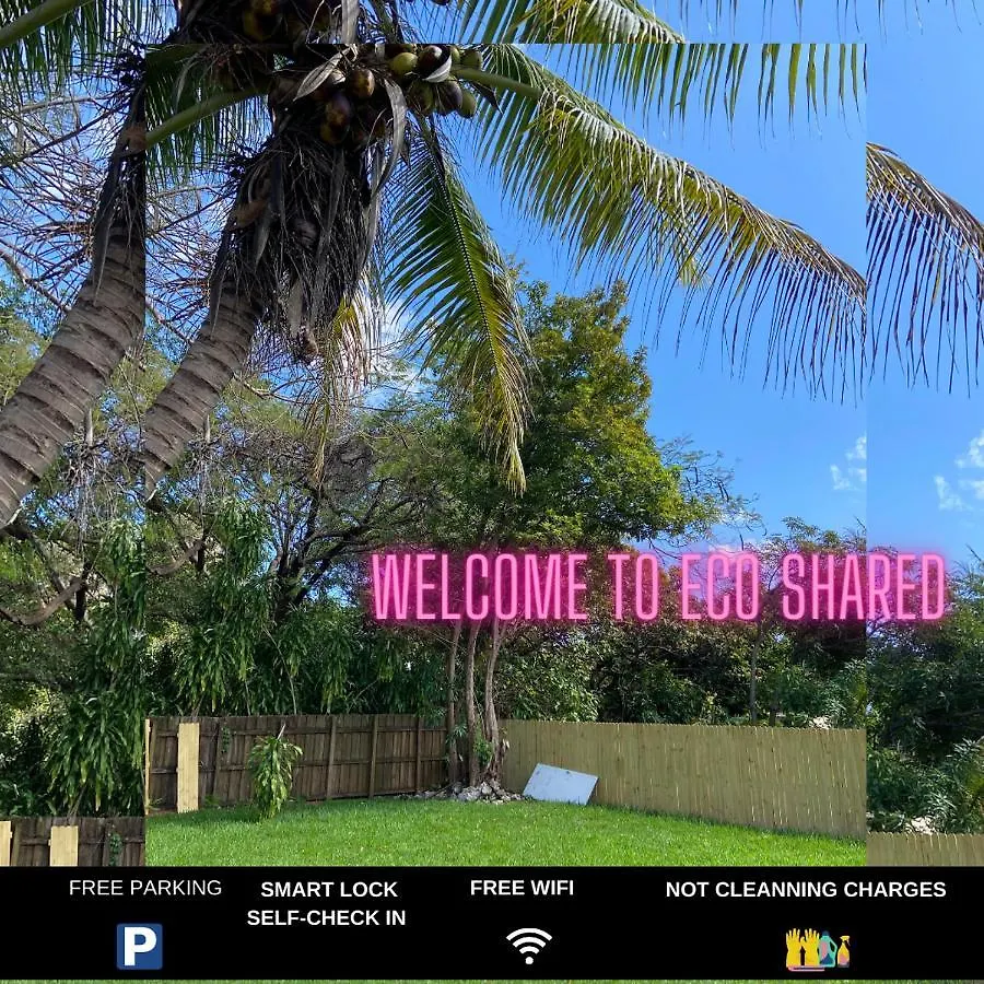 Eco Shared Paradise マイアミ