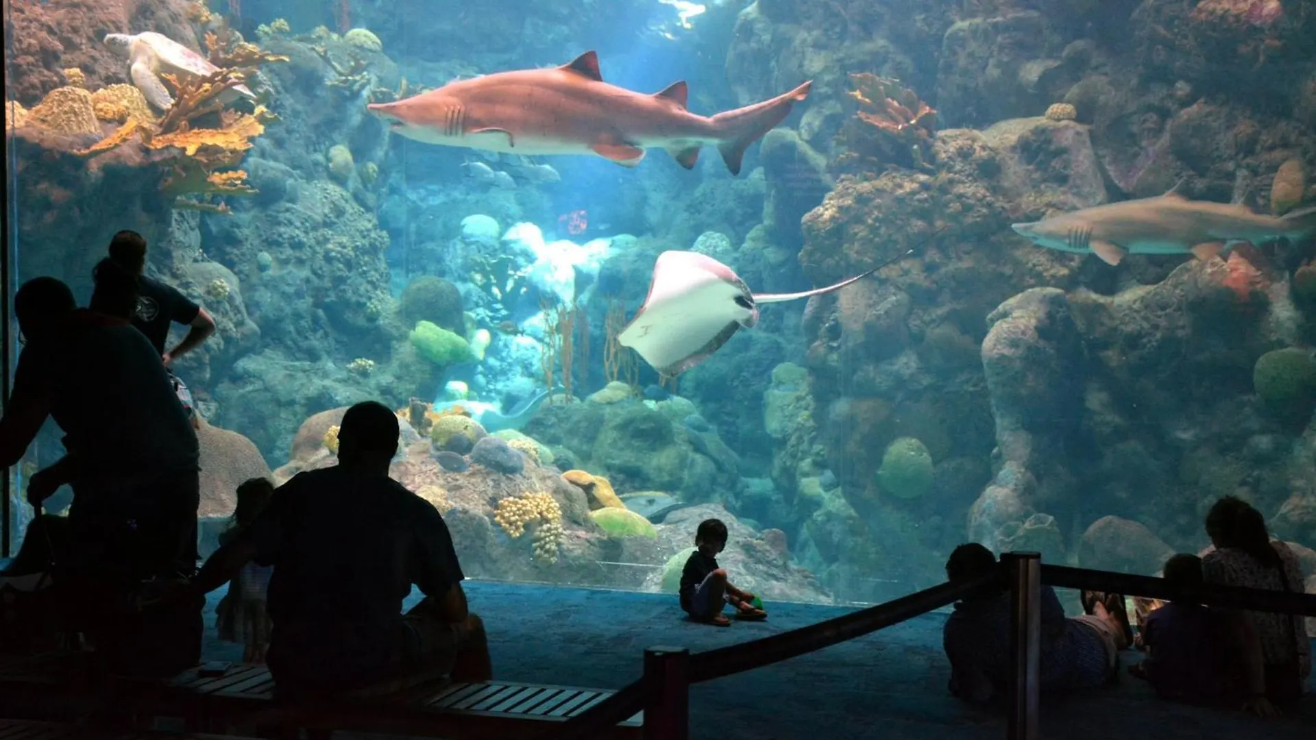 Magical Wonderkoi House In A Japanese Koi Garden 마이애미