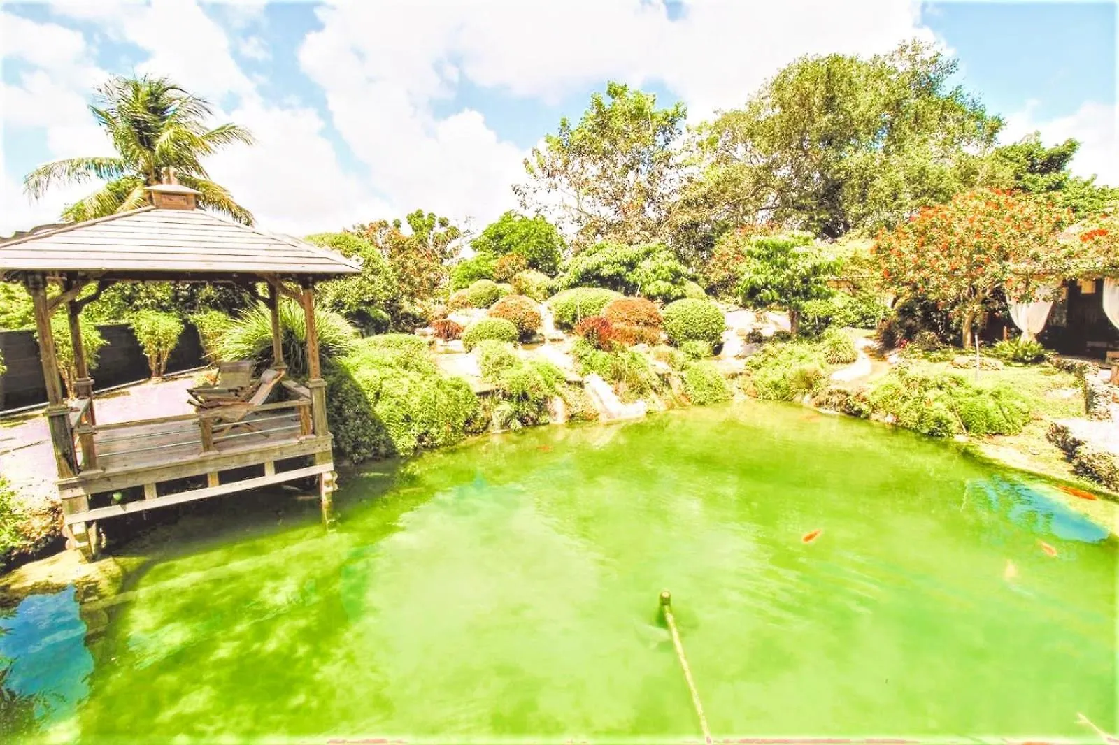 Magical Wonderkoi House In A Japanese Koi Garden 펜션 *