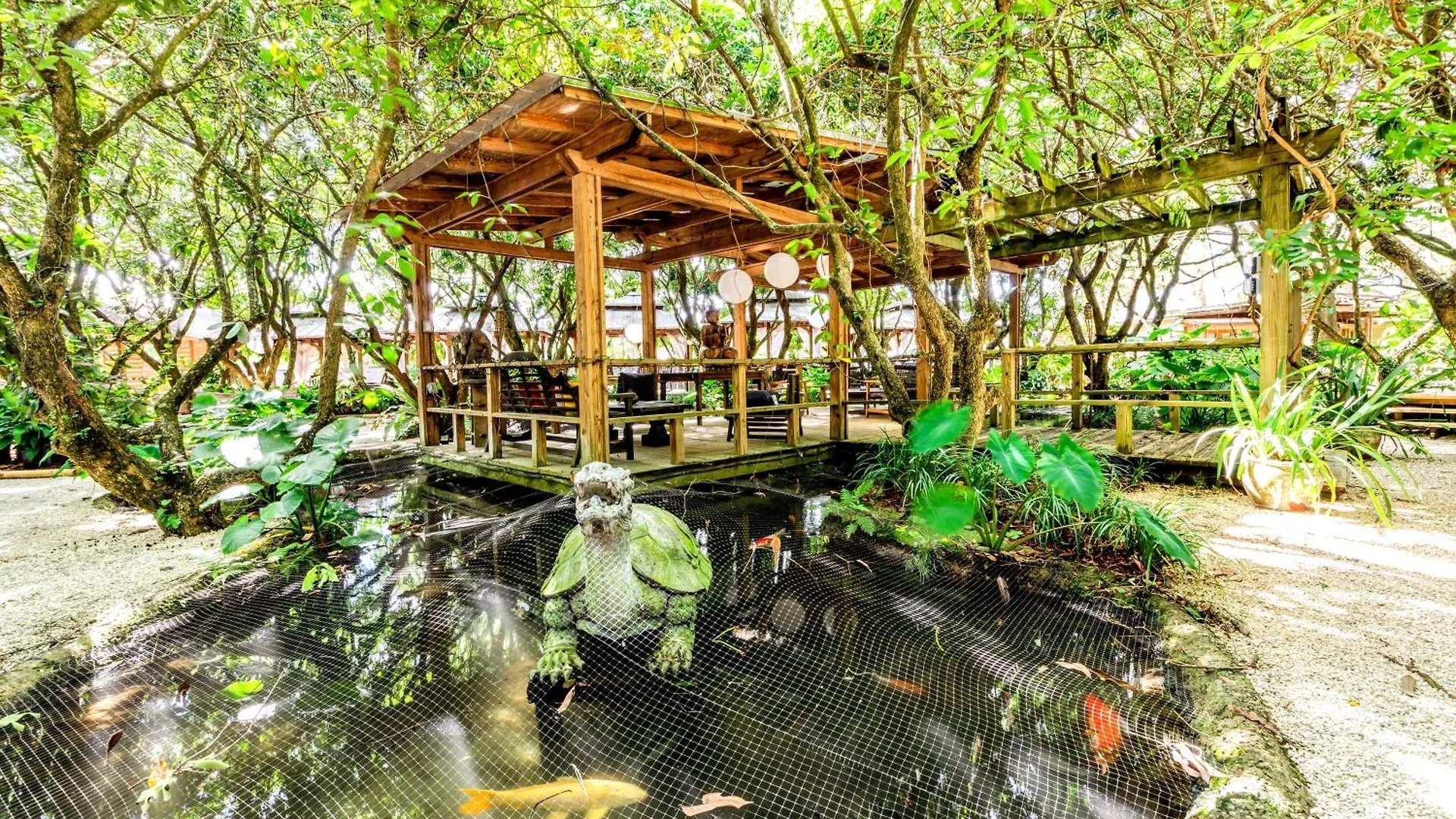 Magical Wonderkoi House In A Japanese Koi Garden