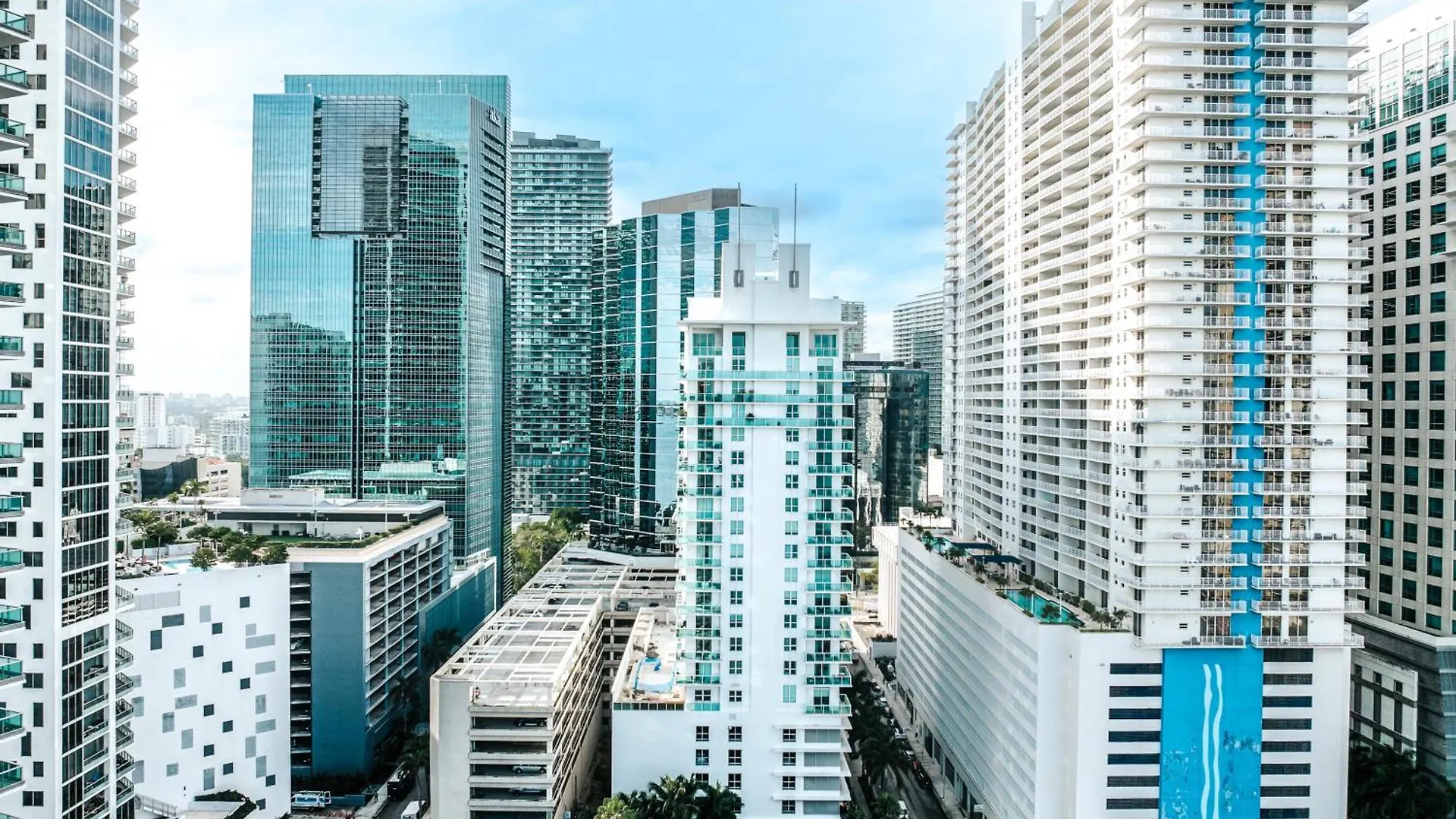 Bay Front Highrise Oasis In Brickell