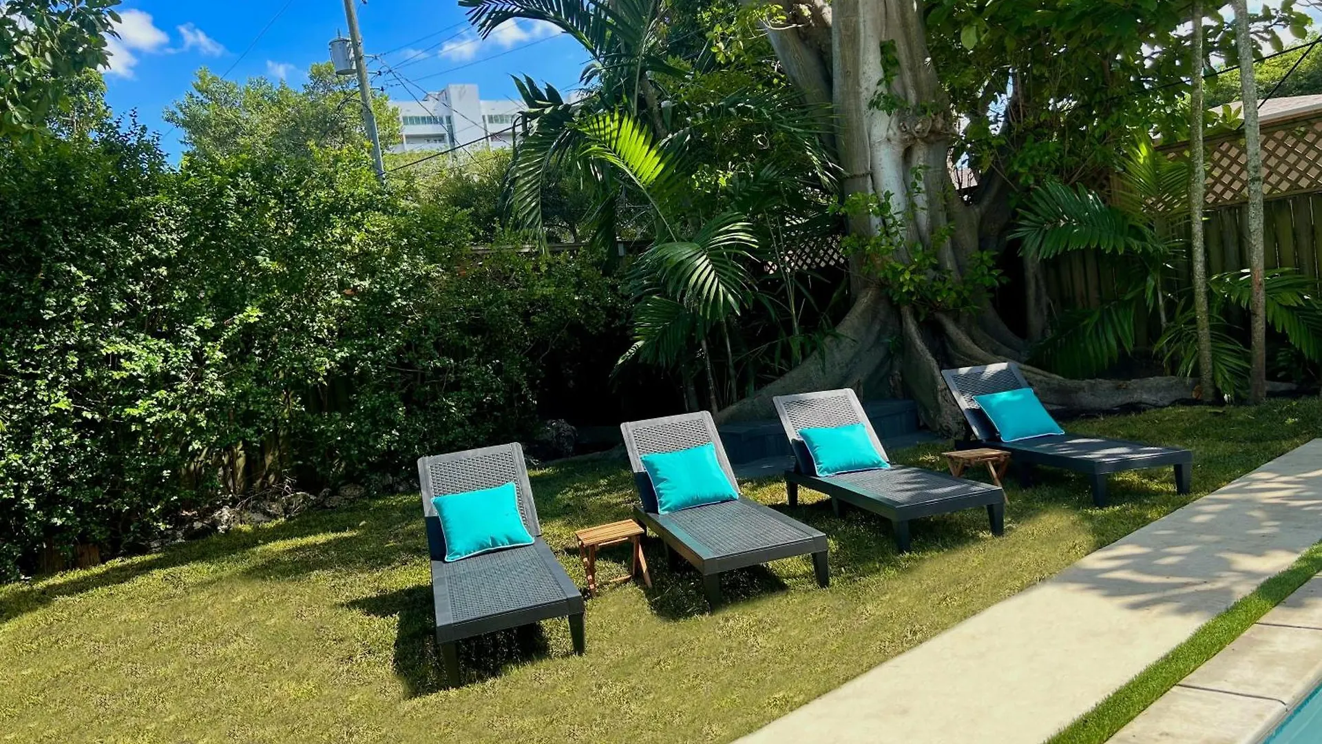 With Pool Design District Miami
