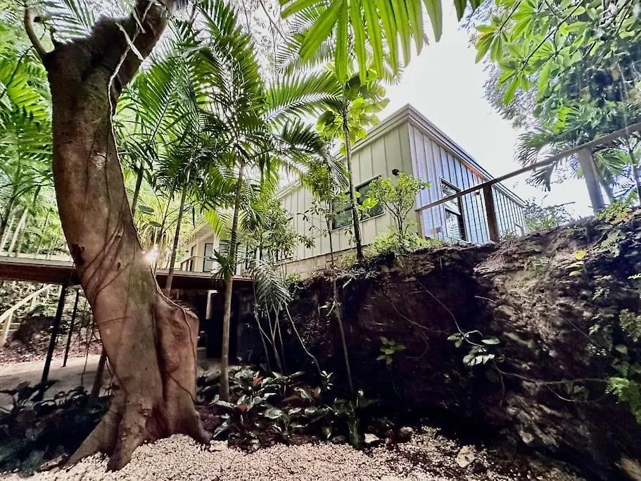 度假居 Coconut Grove Mid-century Jungle Oasis 迈阿密