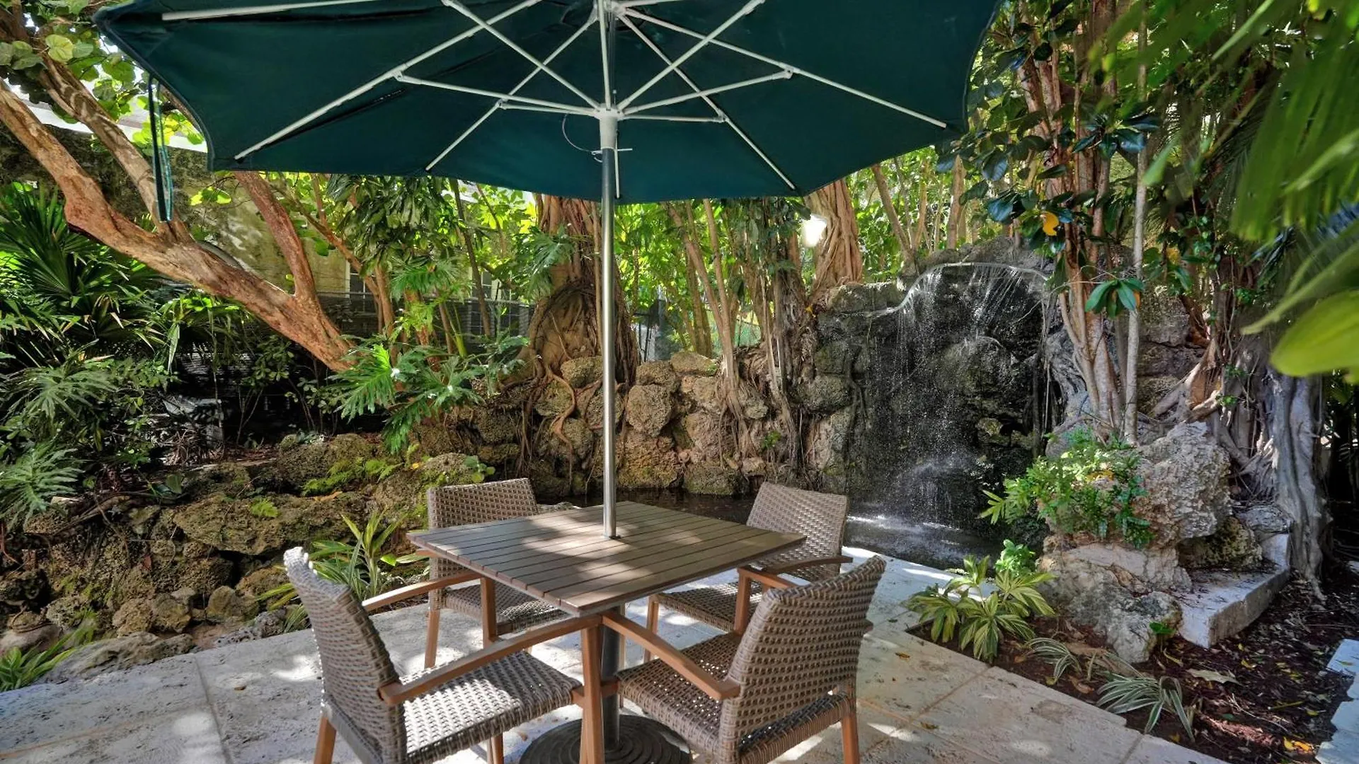 Treetop Retreat! Cozy 2 Bedroom In Heart Of Grove Miami