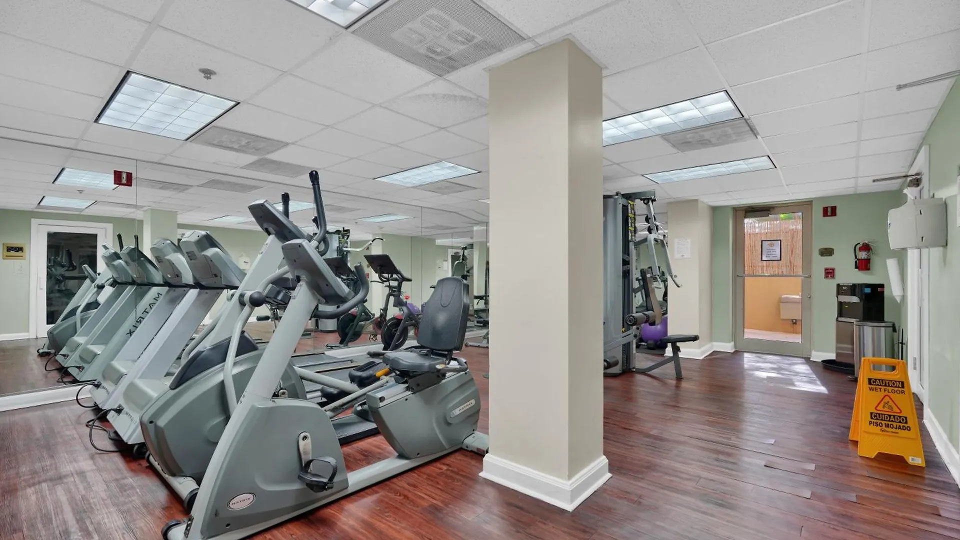 Treetop Retreat! Cozy 2 Bedroom In Heart Of Grove * Miami