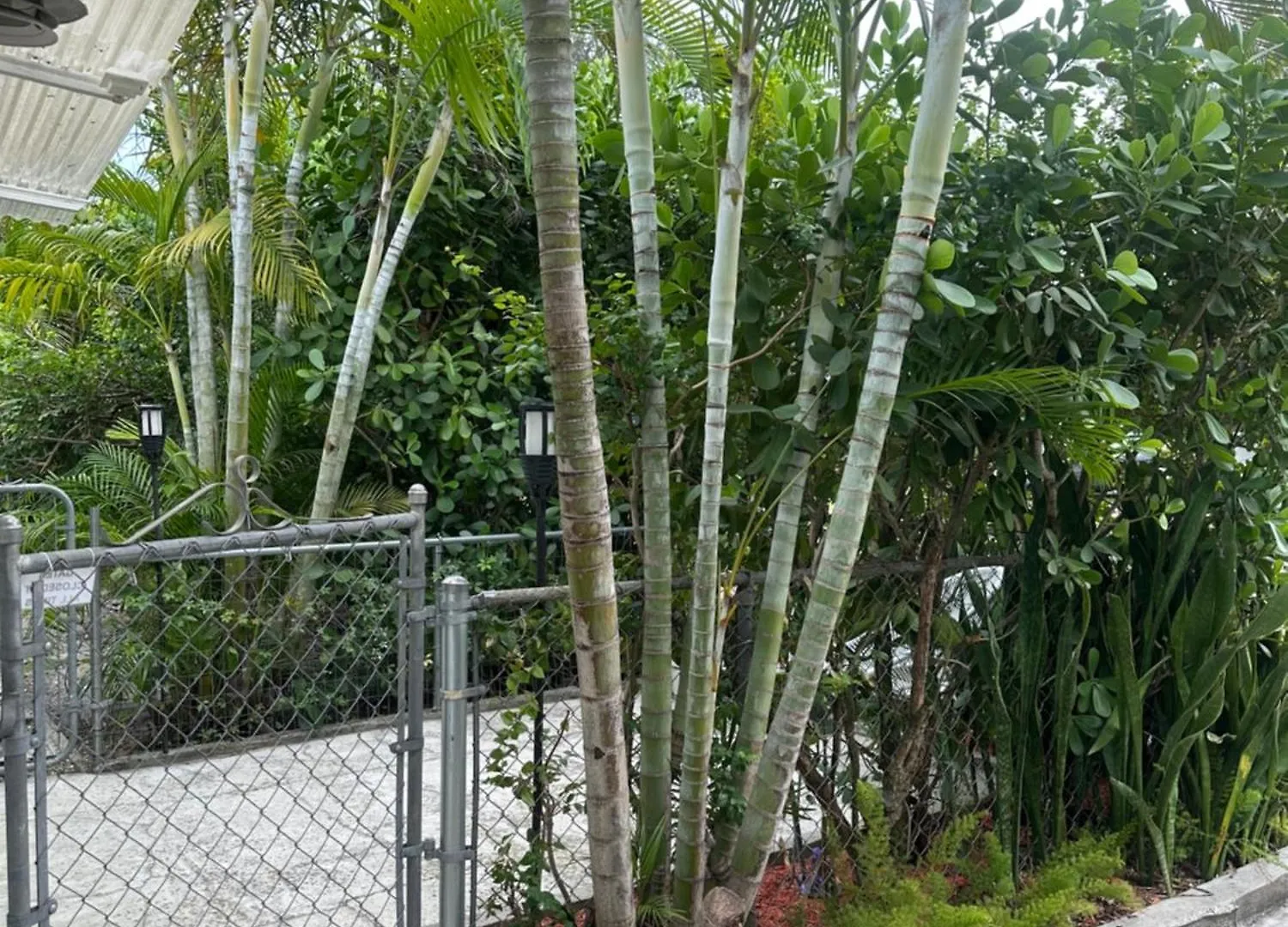 Miami Private * Miami Springs