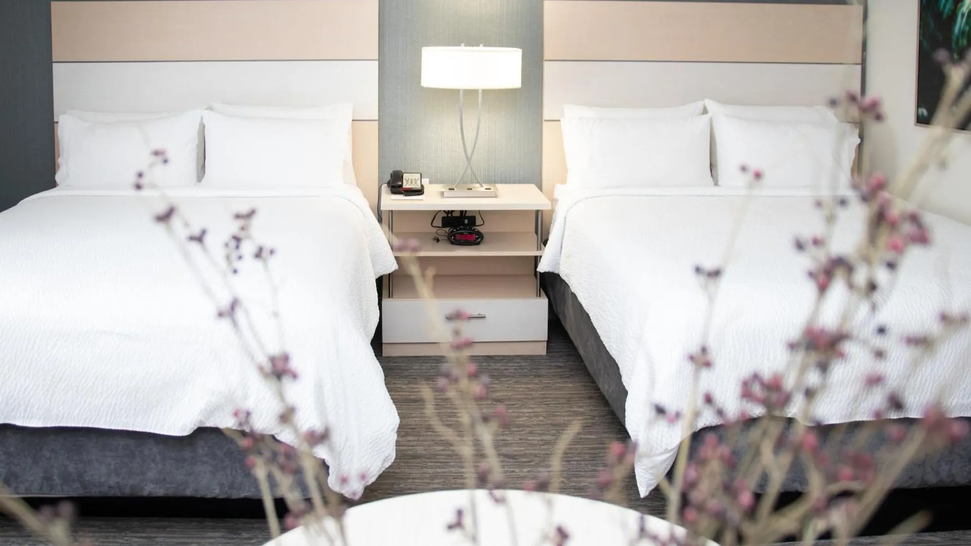 Candlewood Miami Intl Airport - 36th St By Ihg Hotel Miami Springs