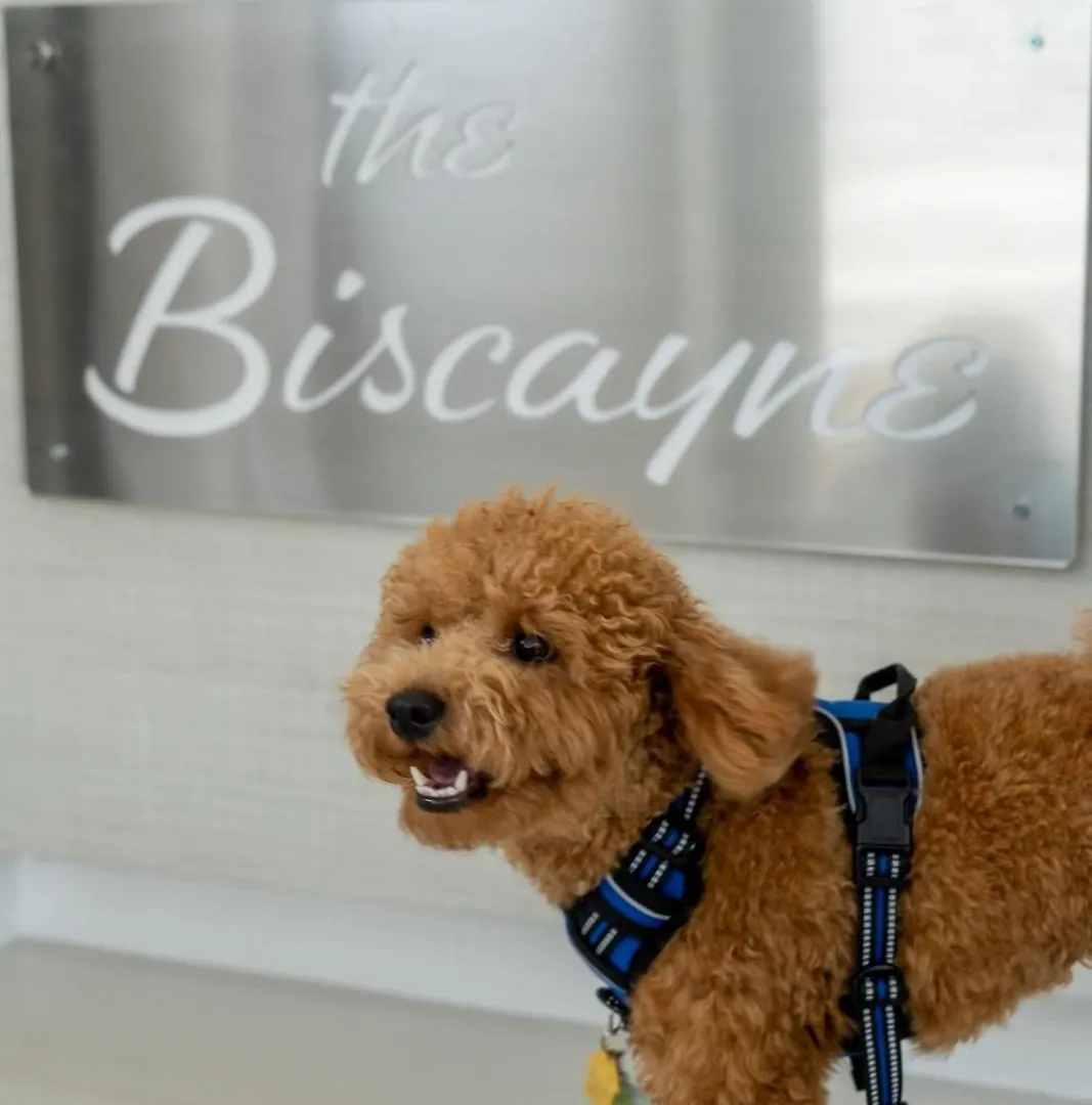 Hotel The Biscayne *