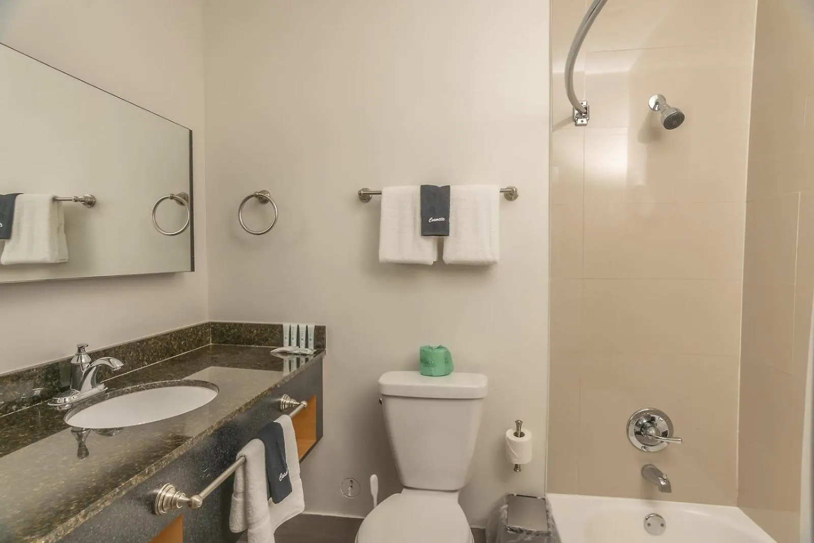 The Biscayne Hotel Miami