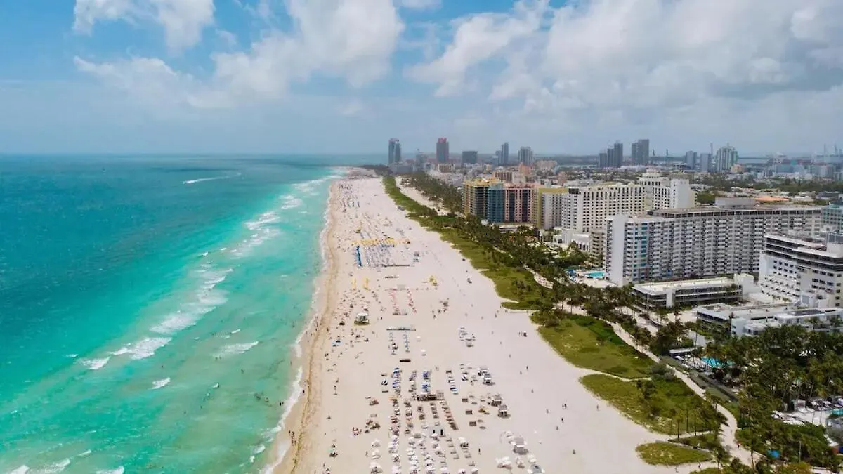 Elysian - Rooftop Pool, Gym, Walk To Downtown & Brickell