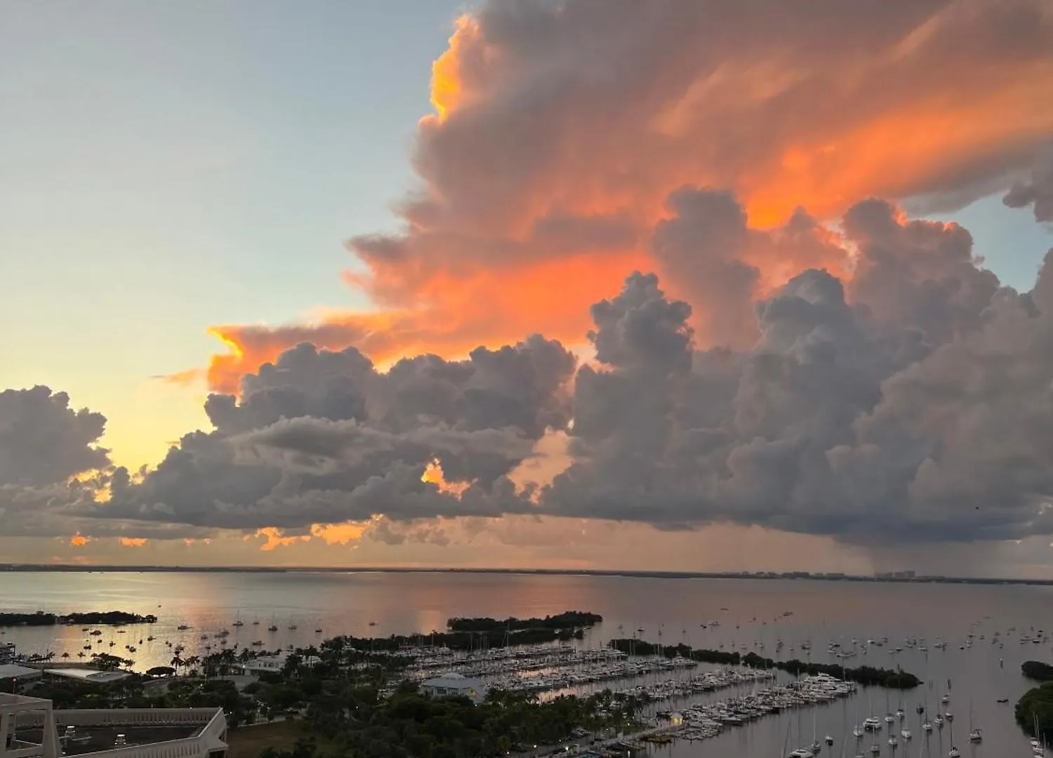 Luxury Penthouse With Private Rooftop Terrace In Coconut Grove