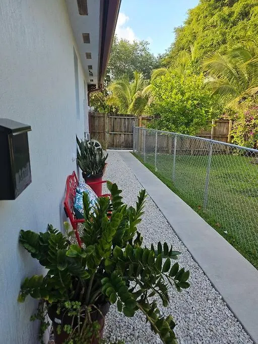 D&n Miami